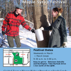 Maple Syrup Festival at Bronte Creek