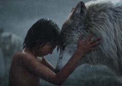 Movie in the Forest: The Jungle Book