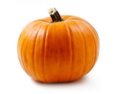 PUMPKIN PATCHES – FALL ACTIVITES FOR FAMILIES