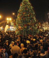 Downtown Oakville Tree Lighting Ceremony