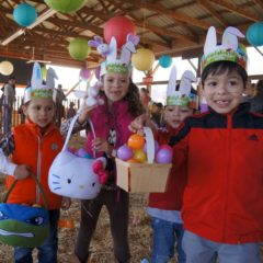 Easter Festival at Springridge Farm